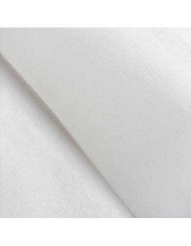Entoilage non tissé déchirable spécial broderie - Blanc