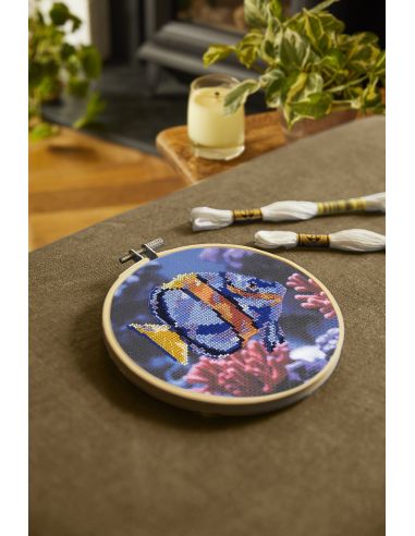Kit broderie point de croix - Poisson