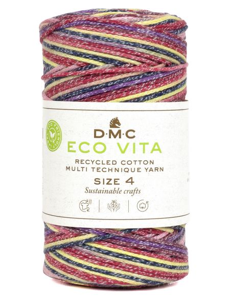 Coton recyclé Eco Vita 4 Multicolor DMC