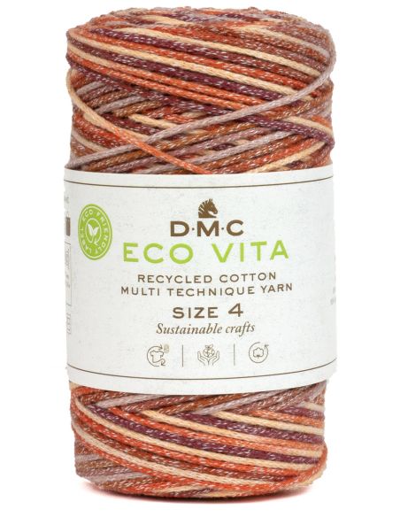 Coton recyclé Eco Vita 4 Multicolor DMC