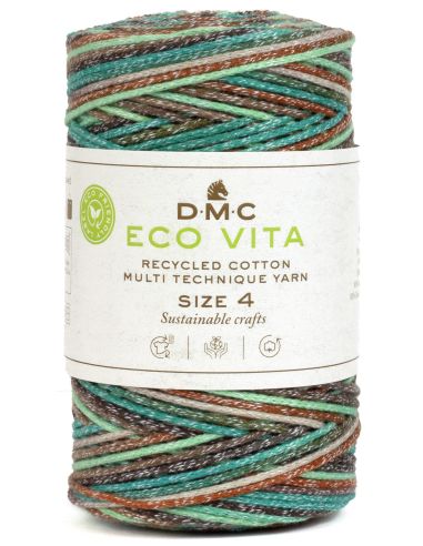 Coton recyclé Eco Vita 4 Multicolor DMC