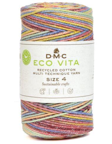 Coton recyclé Eco Vita 4 Multicolor DMC