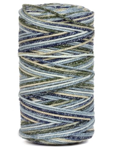 Coton recyclé Eco Vita 4 Multicolor DMC