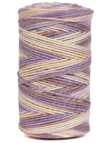 Coton recyclé Eco Vita 4 Multicolor DMC