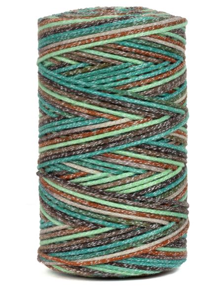 Coton recyclé Eco Vita 4 Multicolor DMC