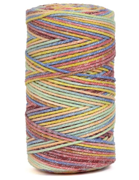 Coton recyclé Eco Vita 4 Multicolor DMC