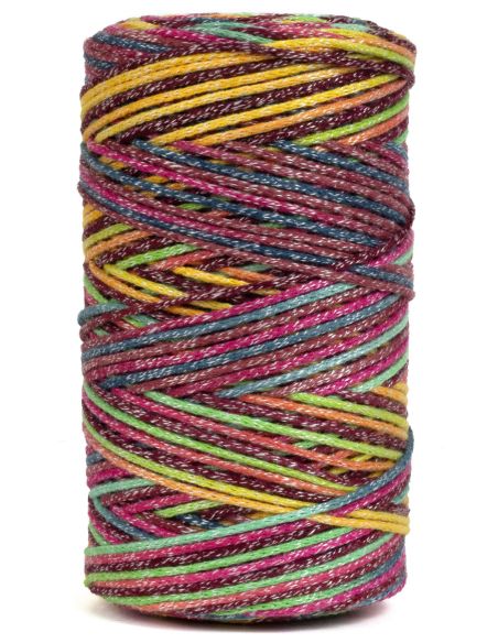 Coton recyclé Eco Vita 4 Multicolor DMC