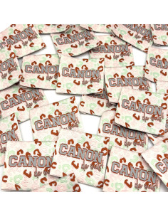 Lot de 5 étiquettes tissées à coudre Canon de ouf !