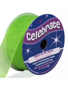 Celebrate lime green organza ribbon - 20 mm x 5 m