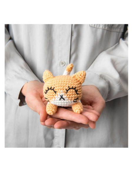 Ricorumi Pocket Pals Booklet