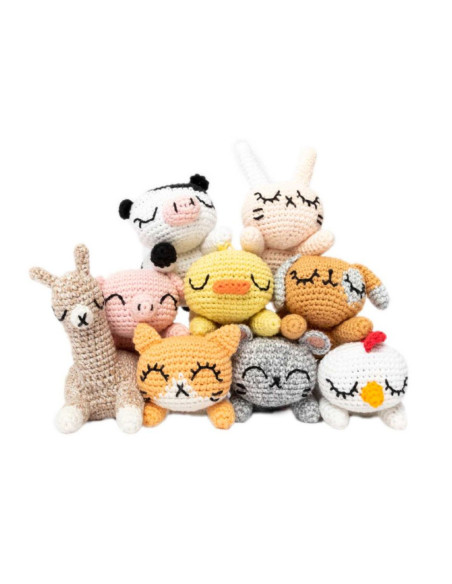 Ricorumi Pocket Pals Booklet
