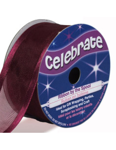 Celebrate plum organza ribbon - 25 mm x 4 m