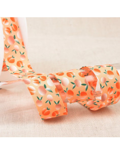 Bias fruits - Apricot