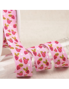 Raspberry fruit leather