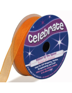 Celebrate orange organza ribbon - 9 mm x 8 m
