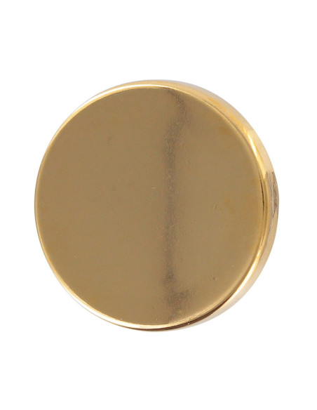 Flat button with shank - Gold
