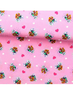 Paw Patrol Jersey Fabric - Skye and Everest