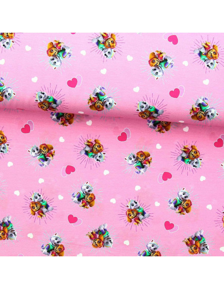Paw Patrol Jersey Fabric - Skye and Everest