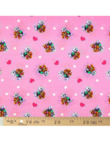 Paw Patrol Jersey Fabric - Skye and Everest