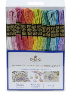 Pack of 24 skeins of DMC embroidery floss - The Vitamin Collection