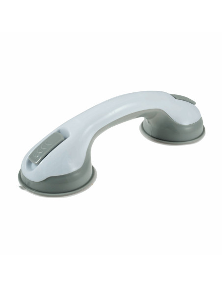 Double suction cup for ruler