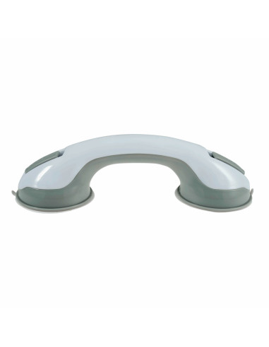 Double suction cup for ruler