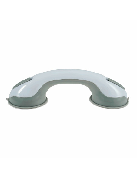 Double suction cup for ruler