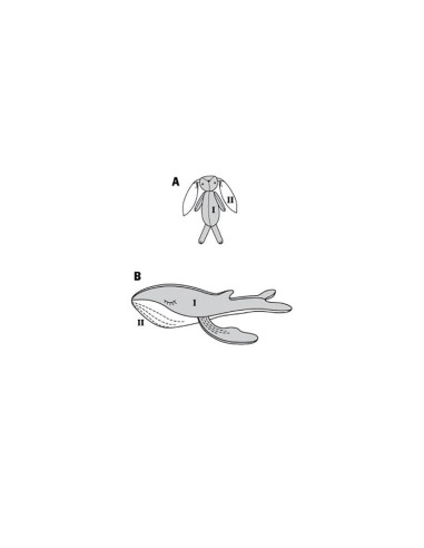 Stuffed Animal Pattern - Burda 6044