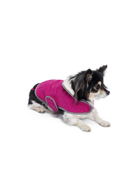 Dog coat pattern - Burda 6049
