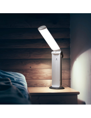 Portable Daylight Twist 2 Lamp