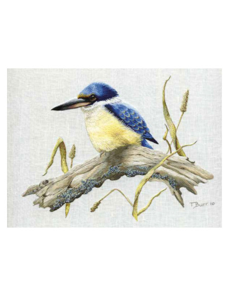Book transfers in traditional embroidery