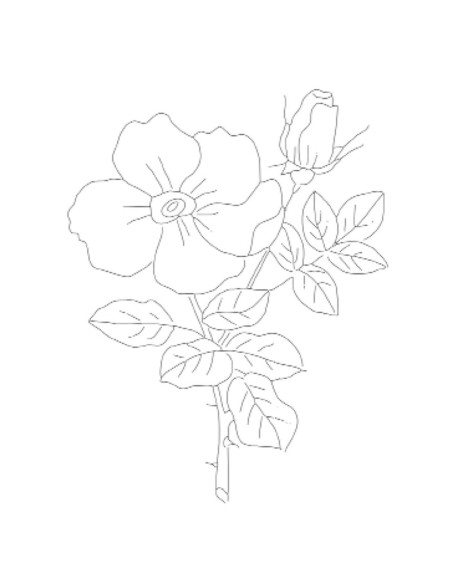 Book transfers in traditional embroidery