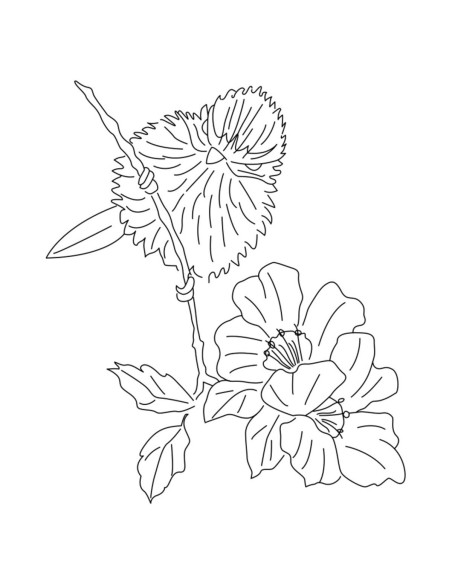 Book transfers in traditional embroidery