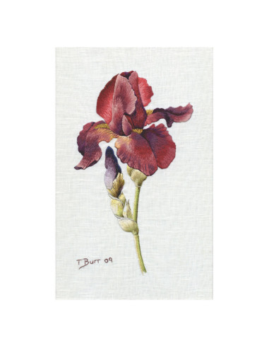 Book transfers in traditional embroidery