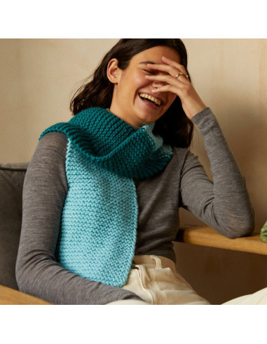 Knitting Kit - My Favorite Scarf