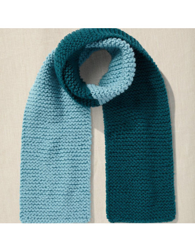 Knitting Kit - My Favorite Scarf
