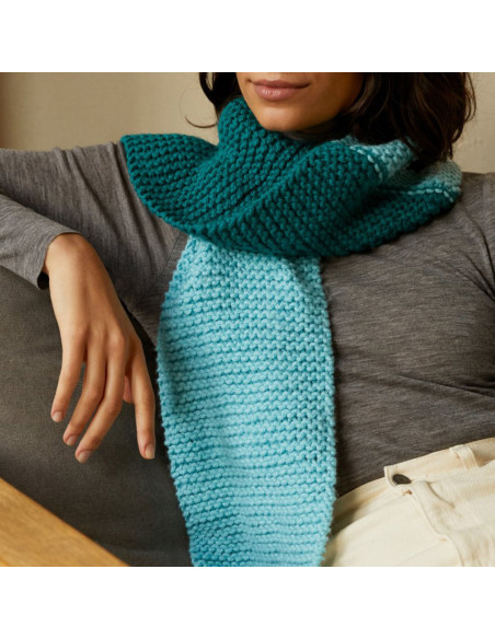 Knitting Kit - My Favorite Scarf