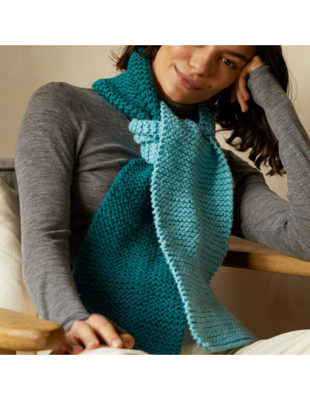 Knitting Kit - My Favorite Scarf