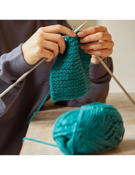 Knitting Kit - My Favorite Scarf