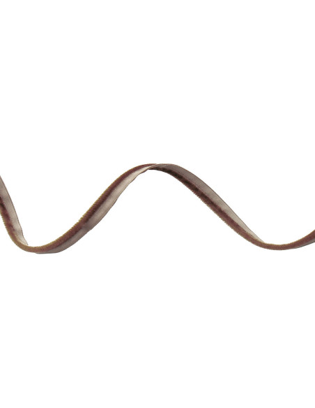 Velvet clothing piping - Brown