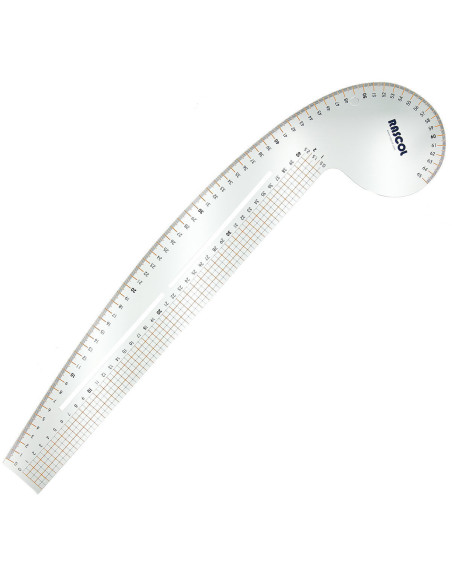 Curved parrot ruler Rascol