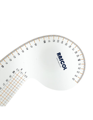 Curved parrot ruler Rascol
