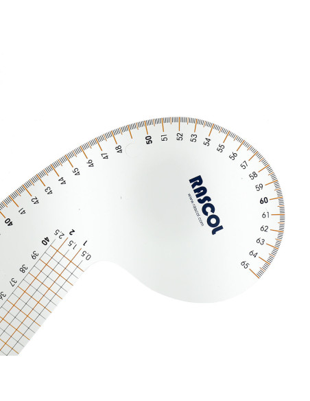 Curved parrot ruler Rascol