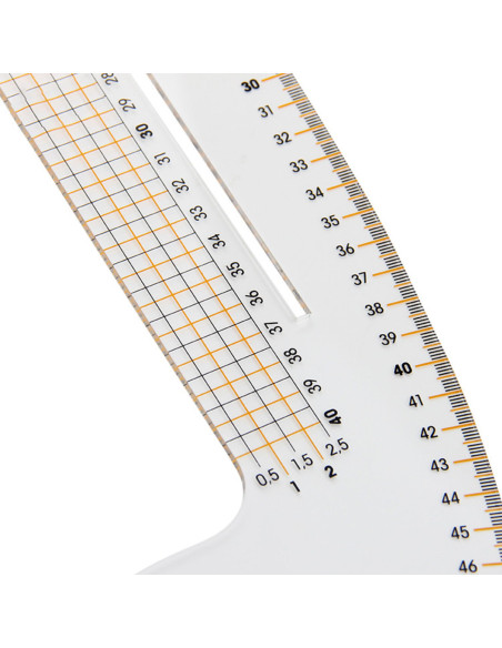Curved parrot ruler Rascol