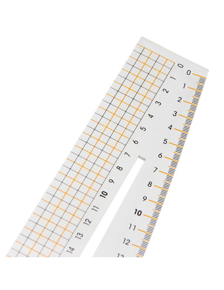 Curved parrot ruler Rascol