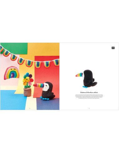 Ricorumi Rainbow Booklet