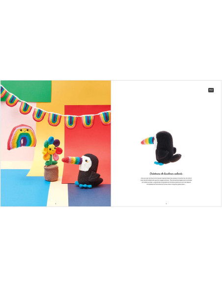 Ricorumi Rainbow Booklet