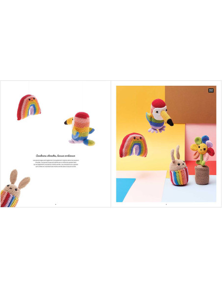 Ricorumi Rainbow Booklet