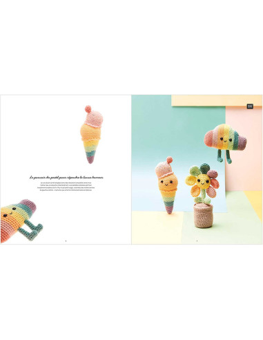 Ricorumi Rainbow Booklet