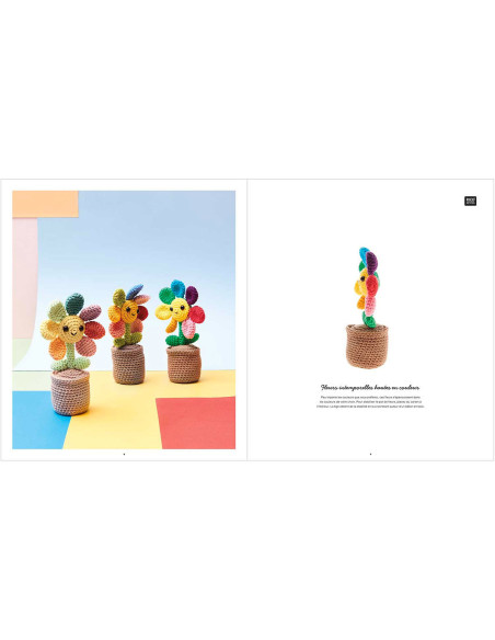 Ricorumi Rainbow Booklet